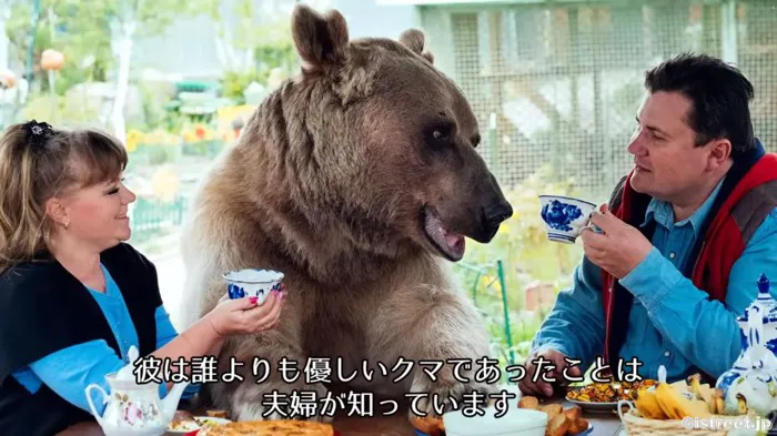 クマだって人間と同じ愛情のある哺乳類なんです