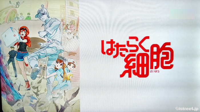 私たちは様々な細胞によって今を生きていられるのですね