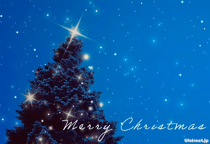 2024年のメリークリスマス♪