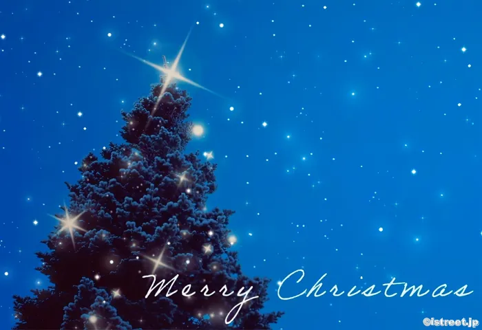 2024年のメリークリスマス♪