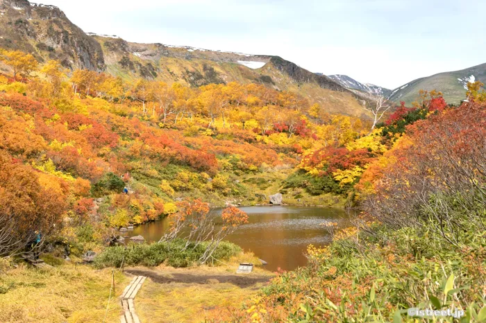 2025年暑かった北海道でも無事に秋を迎えられたようです