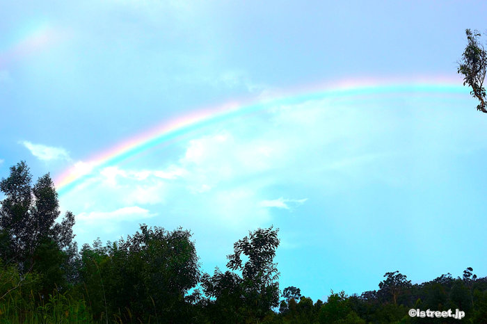 空にかかる虹