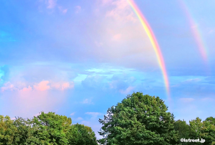 性の多様性をイメージしています4
